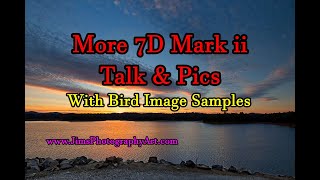 More 7D Mark ii Talk and Pics - Bird Pic Samples