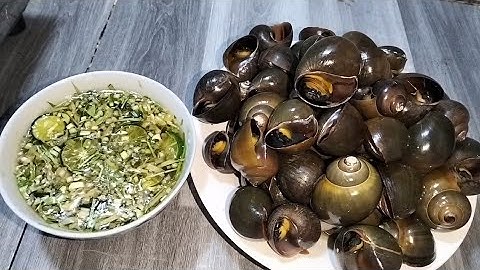 Ốc Bươu Luộc Nước Dừa Chấm Nước Mắm Sả Tắc Rất Ngon #buacomquenha 