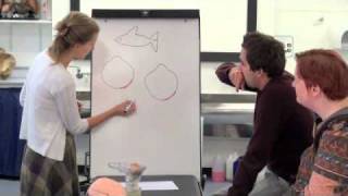 The Visual Fields - Part1