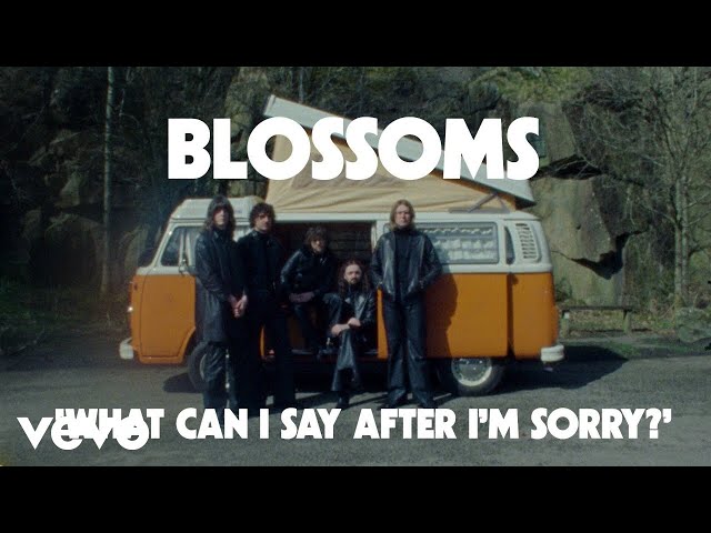 Blossoms - What Can I Say After I'm Sorry?