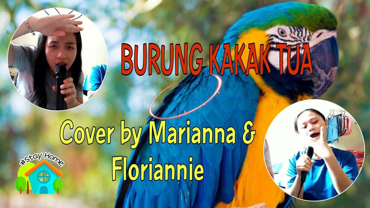 Burung Kakak Tua (Karaoke cover by Marianna Joannes  