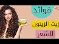 فوائد زيت الزيتون للشعر وطريقه استخدامه 