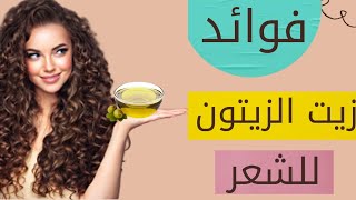 فوائد زيت الزيتون للشعر وطريقه استخدامه