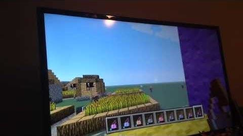 Minecraft Mardi Gras