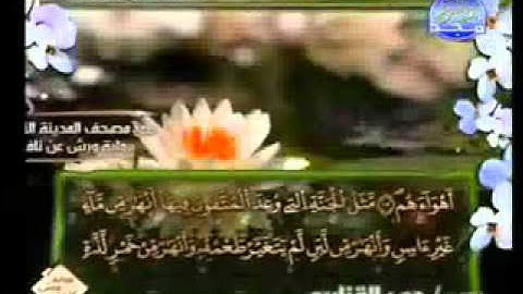 سورة محمد الشيخ عمر القزابري