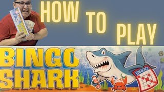 Quick Bingo Lesson: How to Play Bingo Shark!