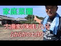 【家庭菜園】【初心者】【土作り】誰でも 簡単にふかふかの土が作れます!2021/9