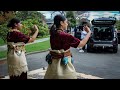 Maamaloa sisters tongan tauolunga  haele ki pilitania blkb3ry