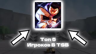 ТОП 5 ИГРОКОВ В TSB!!! | Большинство Типов Игроков В TSB