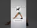 Always Tight These 3 Animal Moves Will Loosen You Up Fast Always Tight These 3 Animal Moves Will Loosen You Up Fast