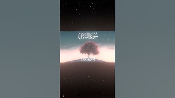 سورة النمل|92-93|القارئ:#محمد_اللحيدان #قران #quran #قران_كريم #تلاوة #تلاوة_هادئة #آية #تلاوة_خاشعة