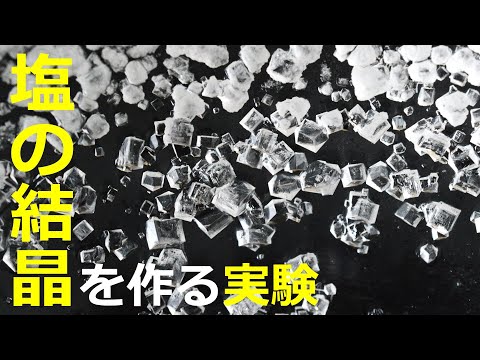 塩の結晶を作る実験（家でできる実験）
