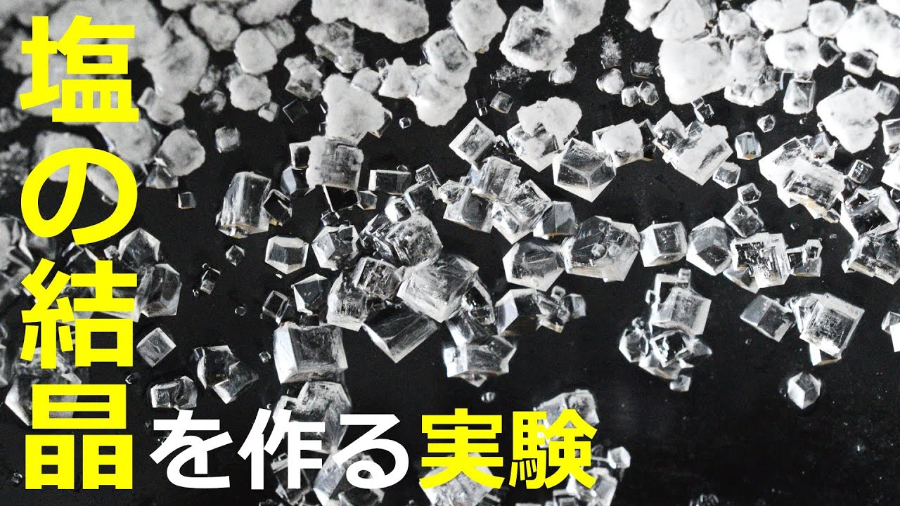 塩の結晶を作る実験 家でできる実験 Youtube