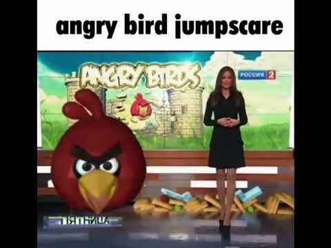 Angry birds jump scare (meme)