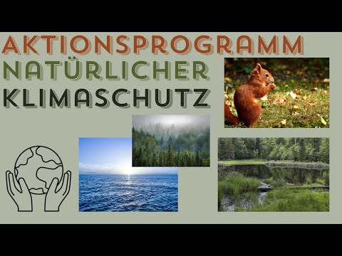 Aktionsprogramm Natürlicher Klimaschutz