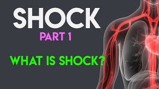 What Is Shock | Shock Pathophysiology | Shock (Part 1)