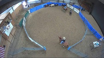 Big Sky Ranch Sorting Saddle Series #4 - OPEN - Round #2 - Ride #11