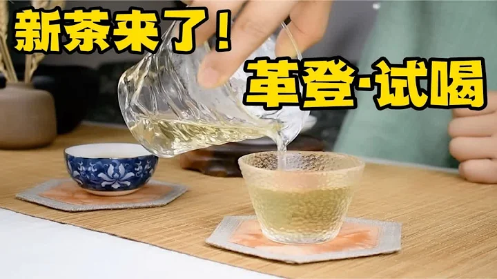 普洱茶品鉴试喝：新茶来了｜革登头春生普散茶｜春茶上新｜干货分享 - 天天要闻