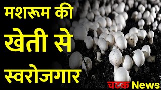 Mushroom Farming | मशरूम की खेती से स्वरोजगार | Mushroom ki kheti | Mushroom Farm Dehradun