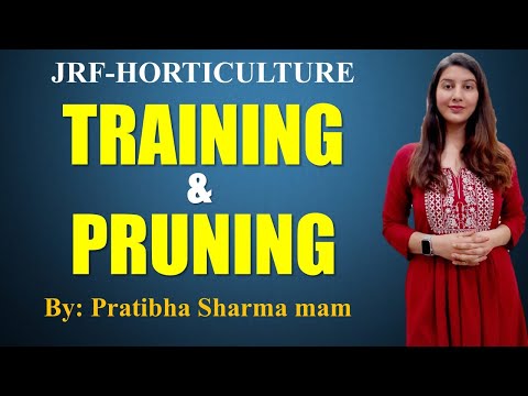 TRAINING & PRUNING || JRF-HORTICULTURE