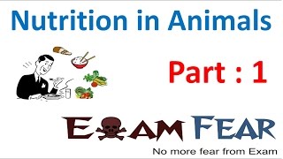 Biology Nutrition in Animals Part 1 (Introduction) Class 7 VII