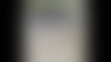 تزاوج الحمير 