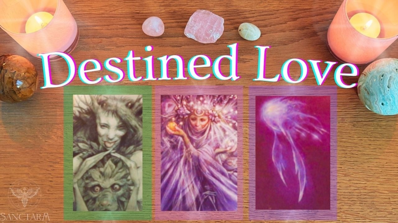 Who are you destined to meet? 🌹 Divine Love Story & Uplifting Guidance ✨