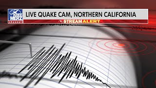 Live Quake Cam - Northern California Infiltec Seismograph