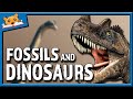  story time  fossils and dinosaurs   tigerbear bedtime stories read aloud