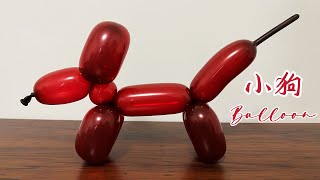 Dog-Animal balloon art modeling suitable for beginners 基础气球造型教学小狗