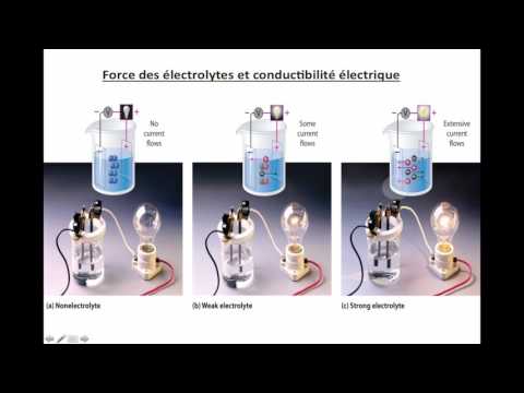Vidéo: Comment Identifier Les électrolytes Forts
