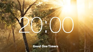 20 Minute Countdown Timer with Relaxing Music | 4K | Alarm | Light of the forest