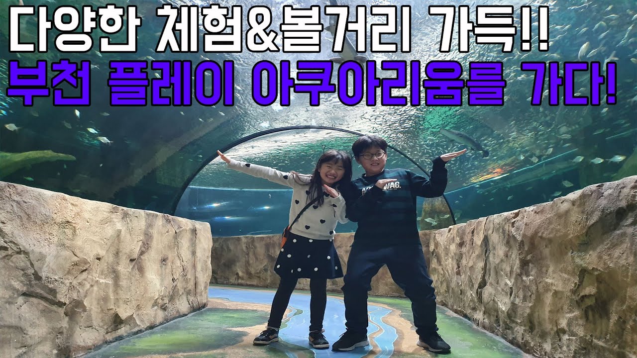 다양한 체험과 볼거리가 가득한 부천 플레이아쿠아리움에 가다!!_유료광고포함_해피오누이