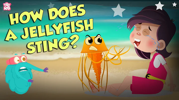 How Does A Jellyfish Sting? | Everything About Jellyfish | Dr Binocs Show | Peekaboo Kidz - DayDayNews