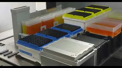 TECAN Fluent Automation Workstation