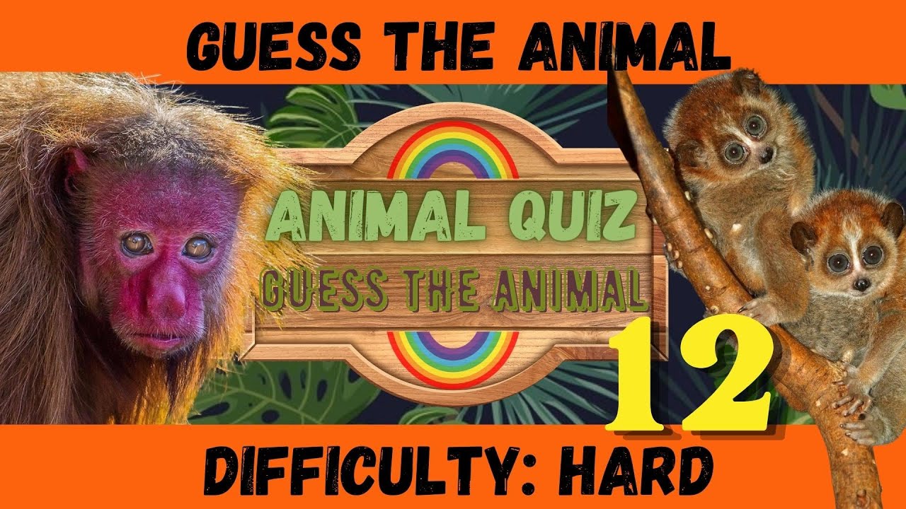 Guess The Animal 12 Animal Quiz HARD YouTube