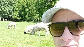 Yorkshire Sculpture Park🏞️ Hello 🤗 Happy Sunday ❤️