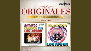 Video thumbnail of "Los Apson - A Bailar el Mashed"