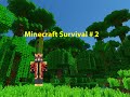 I Finally defeated Ender Dragon in Minecraft Survival