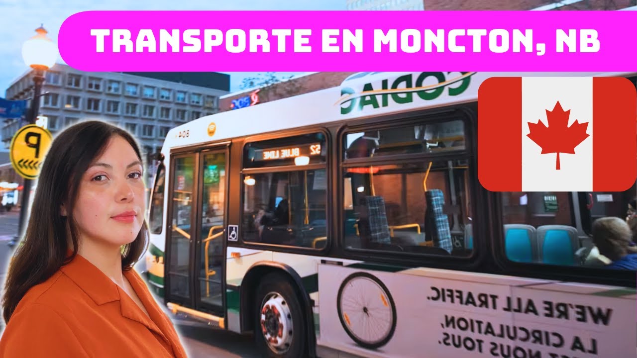 Transporte Público en Moncton, NB 🇨🇦 - Rutas, Apps y Costos