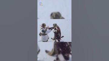 ở biên giới hàn quốc và triều tiên lúc nào cũng căng thẳng vô cùng