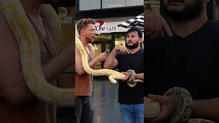Sweet as a nut mate. My song surrender is out now  #viral #snakes #fyp #streetinterview