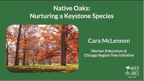 Native Oaks: Nurturing a Keystone Species
