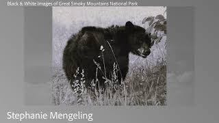 Smokies Through The Lens Photo Contest: Black & White, Man-Made & Macro | Wilderness Wildlife Week