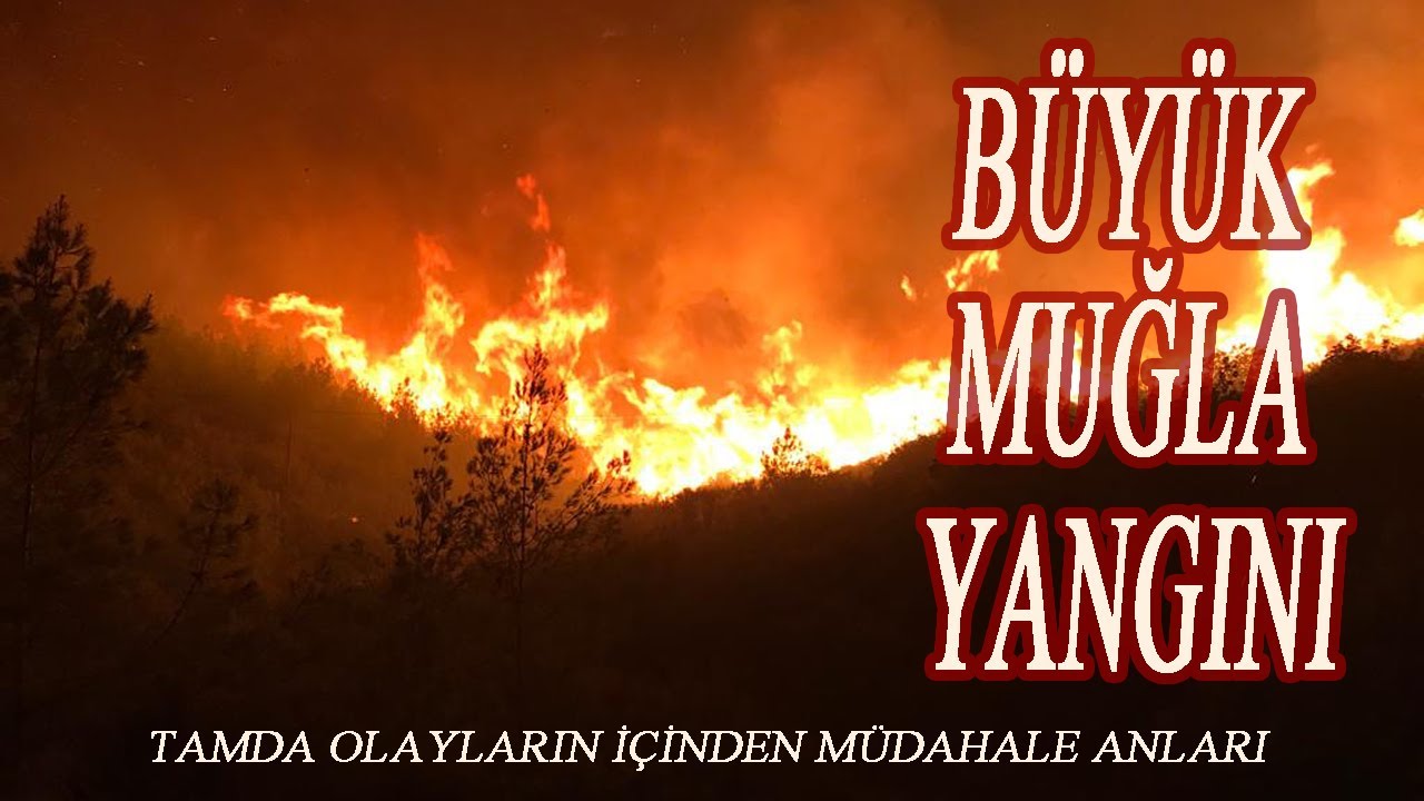 Büyük Muğla Yangını Bodrumda Amansız Mücadele | Bir İtfaiyeci