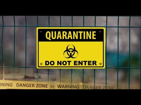Day 4 Quarantine | Trap Beat | By Kingpuntocom |