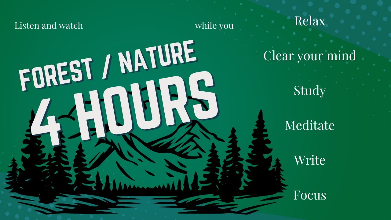 4 hours of Forest Nature Sounds - YouTube