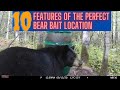 10 Attributes Of The Perfect Bear Bait Site Perfect 10 In Bear Hunting 10 Attributes Of The Perfect Bear Bait Site Perfect 10 In Bear Hunting