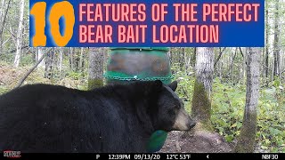 10 attributes of the perfect bear bait site | perfect 10 in bear hunting