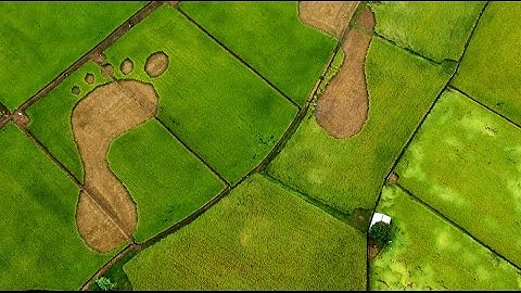 映画「天空からの招待状」　西島秀俊が日本語版のナレーション